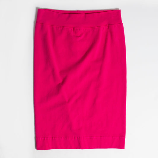 FAMOUS Pencil Skirt